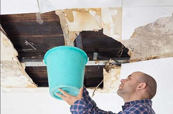 It's Raining It's Pouring Common Property Repairs and Mould in Strata